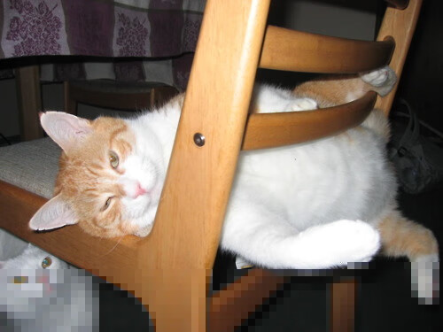 锡安暴雨中逆天改命！尼克斯破百年来最诡异纪录，淘汰赛首轮碾过掘金