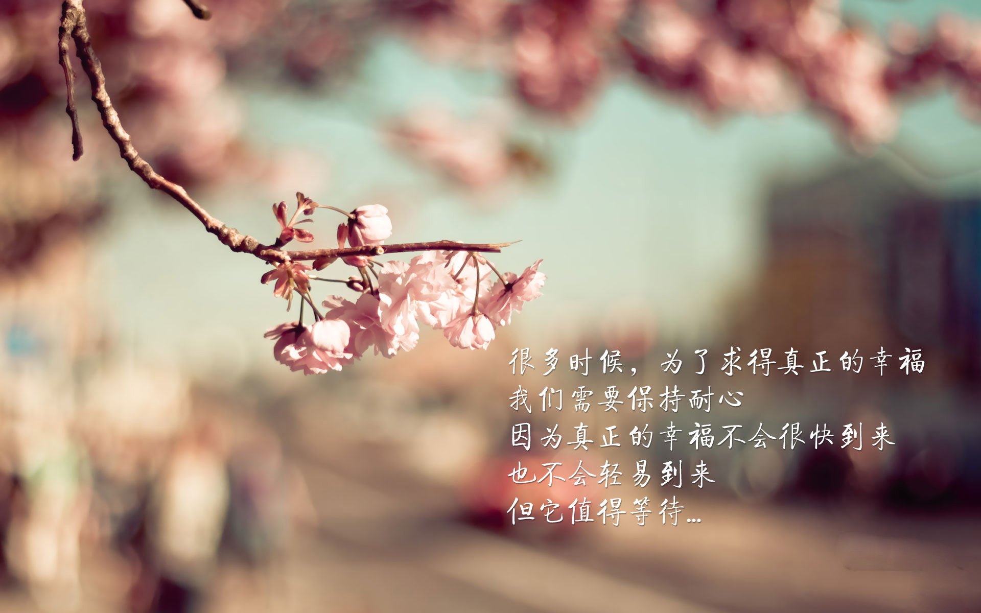 铁壁对利刃，西决生死战中活塞如何封锁浙江队的狂飙进攻