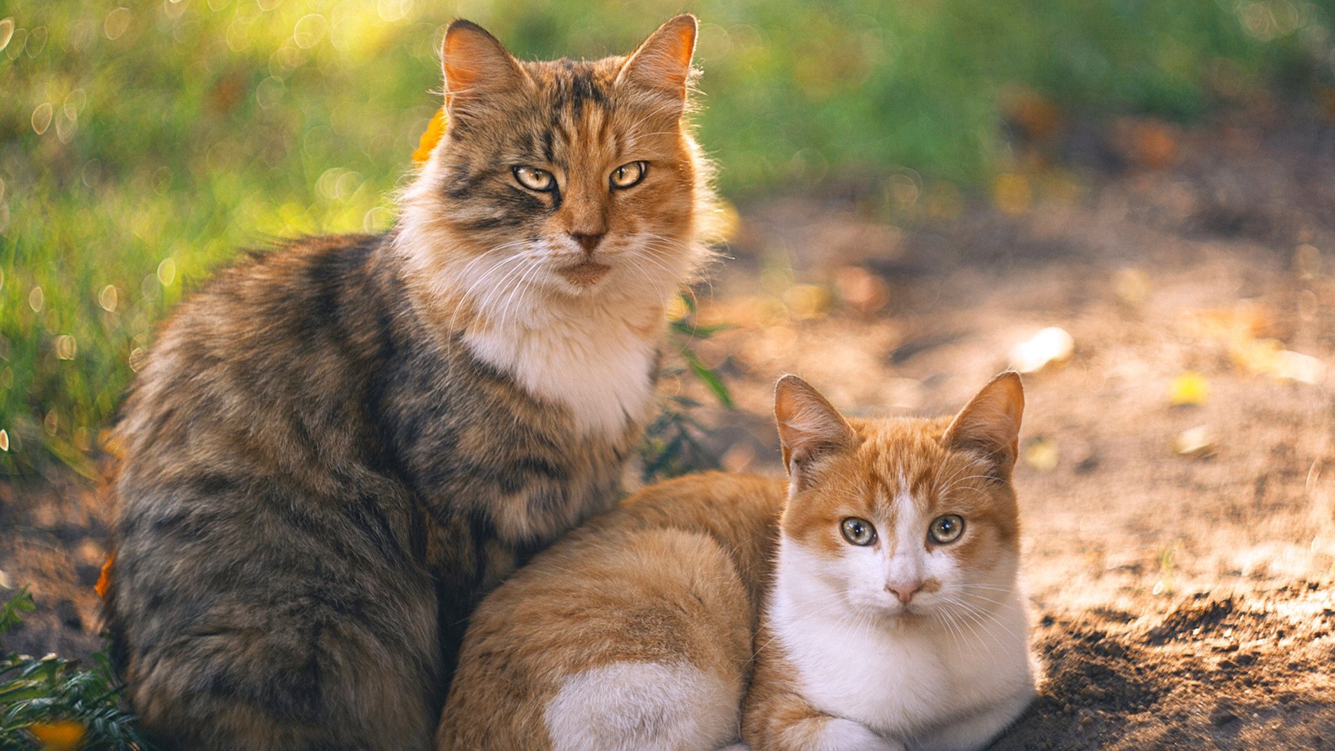 冰与火的献祭，当北欧风暴席卷潘帕斯，格列兹曼演绎孤胆英雄的唯一神迹