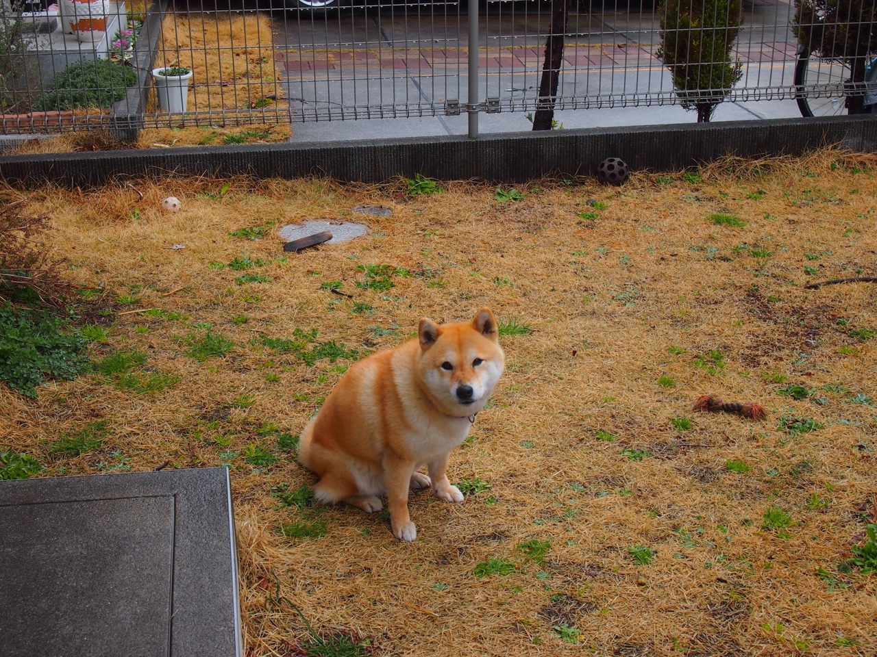 以下是为您构思的标题及撰写的文章