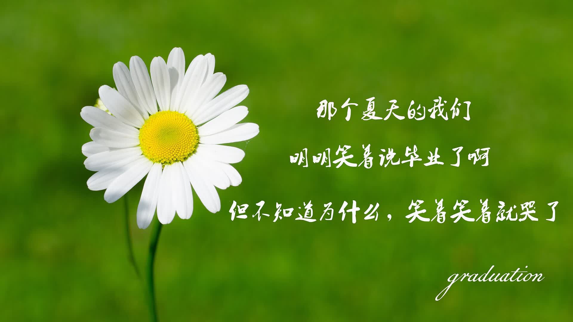 冰岛火山撞上瑞士钟表,一场世界杯上的冰冷碾压与B费的炽热独舞